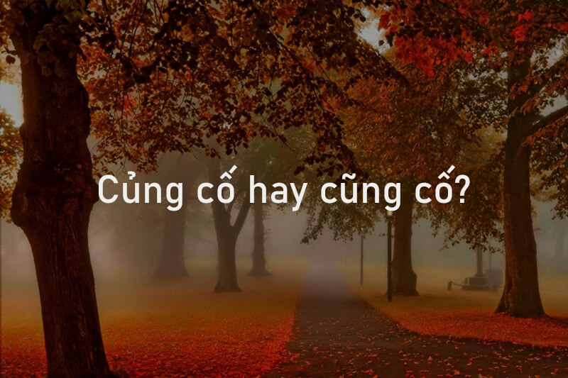 Củng cố hay cũng cố đúng chính tả tiếng Việt?